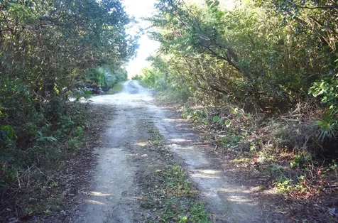 Whale Point Estates Eleuthera BS