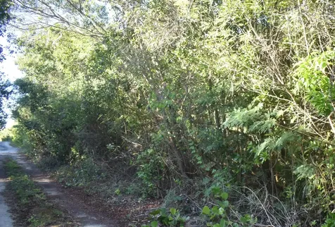 Whale Point Estates Eleuthera BS