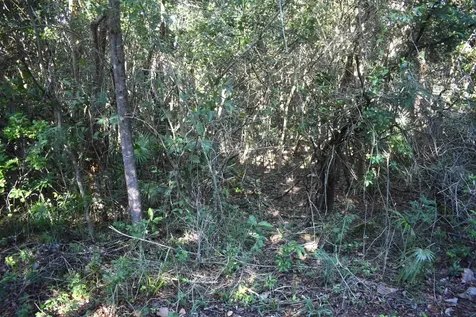 Whale Point Estates Eleuthera BS