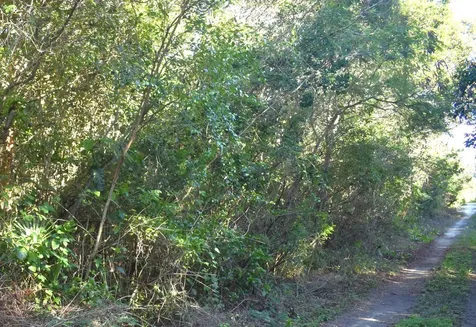 Whale Point Estates Eleuthera BS