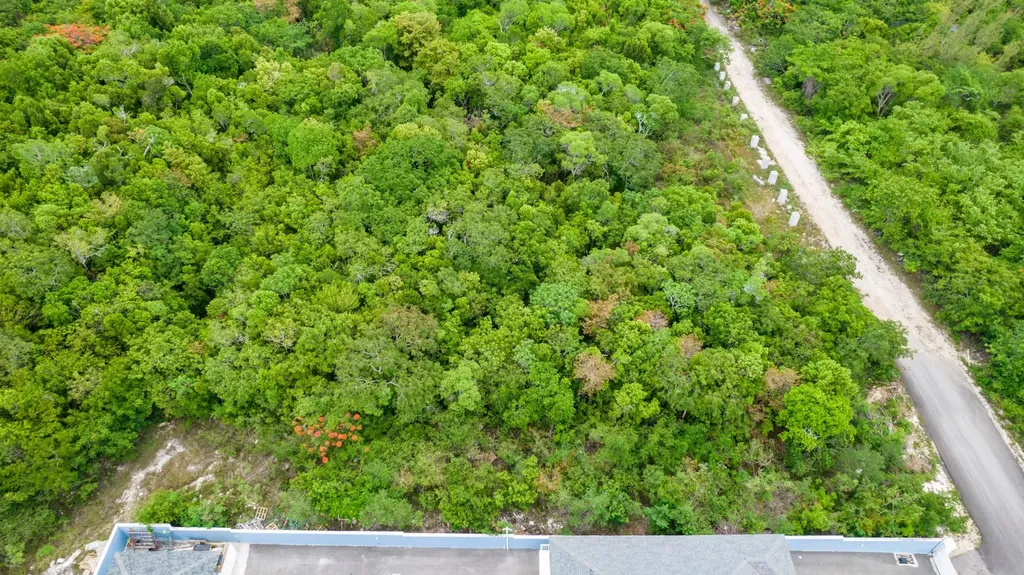 Westridge Multi Family Lo New Providence Paradise Island BS