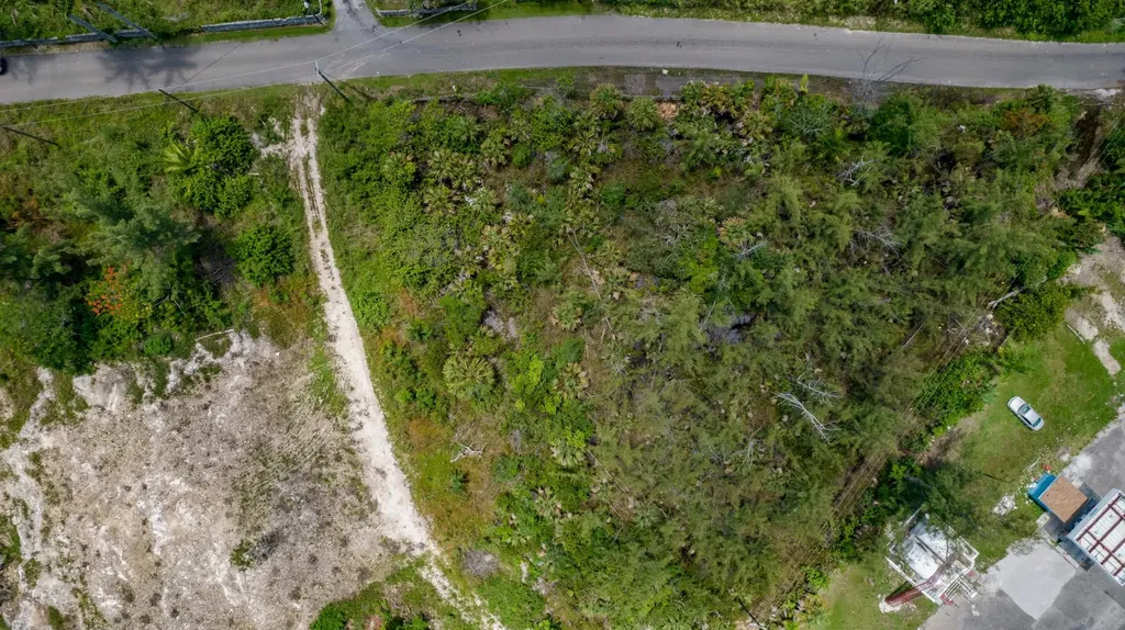 Perpall Tract Commercial New Providence Paradise Island BS