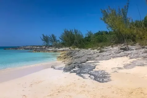 Rose Island Rose Island BS