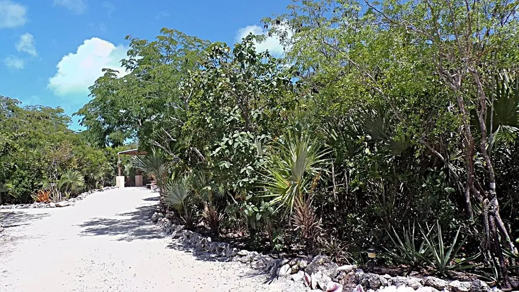 Wemyss Long Island BS