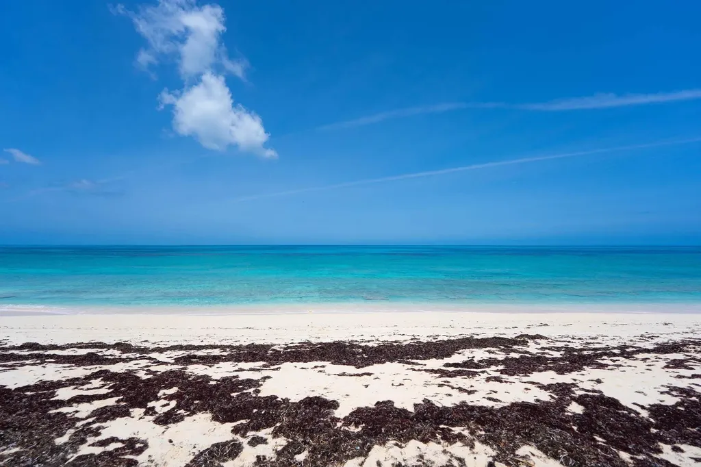 Turtle Rest Abaco BS