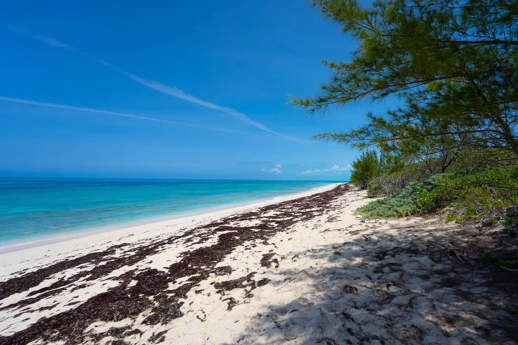 Turtle Rest Abaco BS