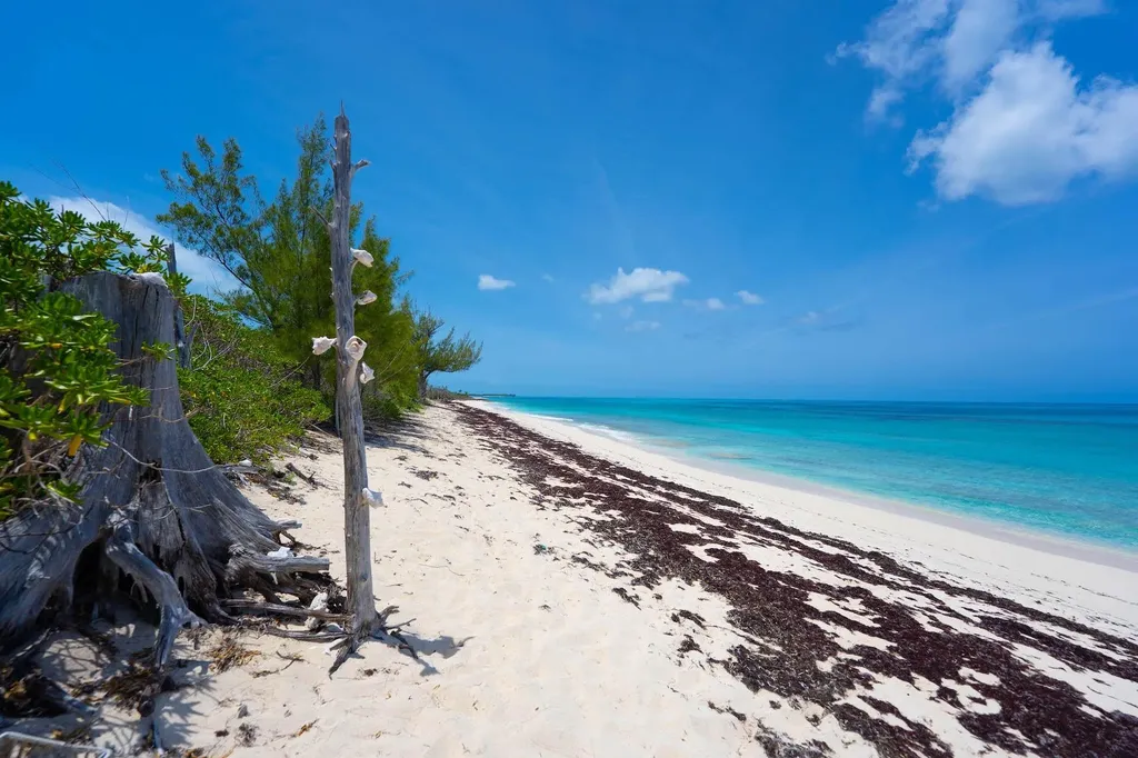 Turtle Rest Abaco BS