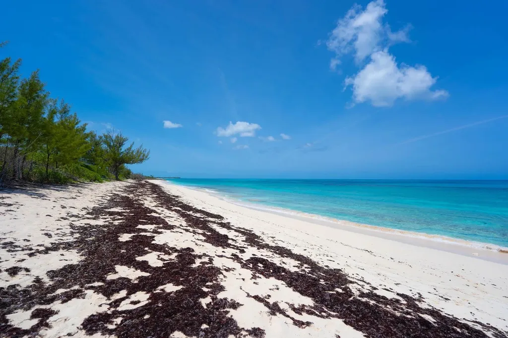 Turtle Rest Abaco BS