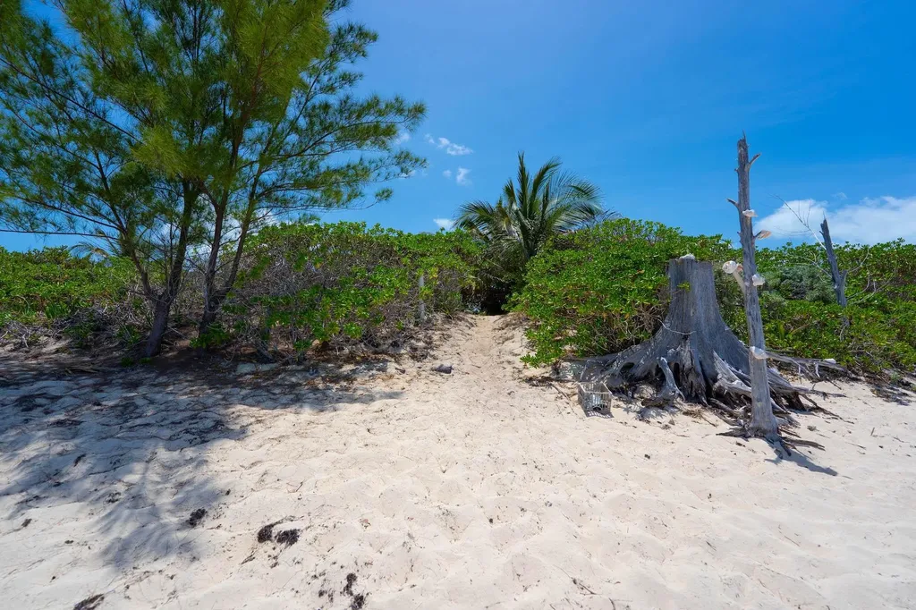 Turtle Rest Abaco BS