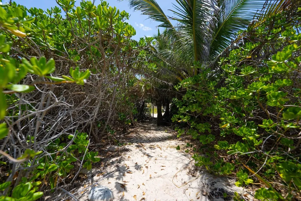 Turtle Rest Abaco BS