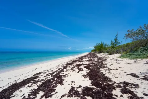 Turtle Rest Abaco BS