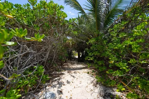 Turtle Rest Abaco BS