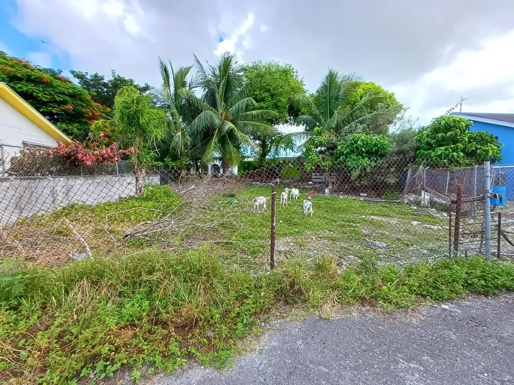 Lumumba Multifamily Lot New Providence Paradise Island BS