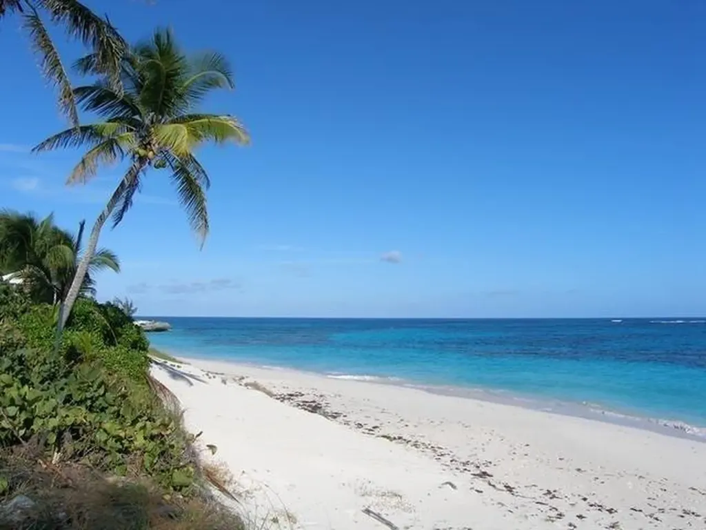 Blue Dolphin Beach & Dock Abaco BS