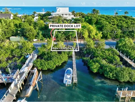 Blue Dolphin Beach & Dock Abaco BS