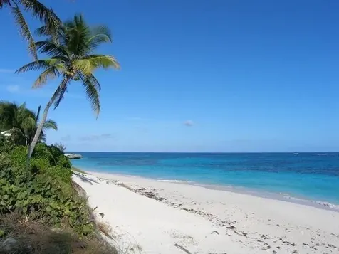 Blue Dolphin Beach & Dock Abaco BS