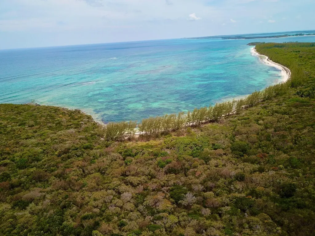 Tarpum Bay Eleuthera BS
