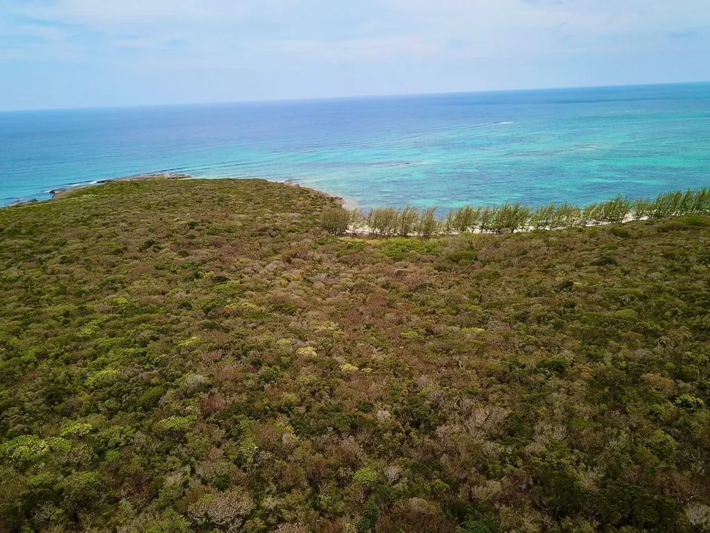 Tarpum Bay Eleuthera BS