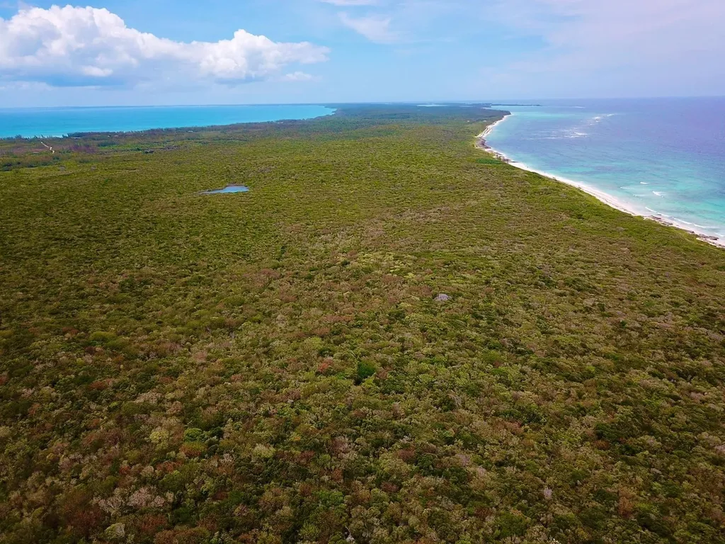 Tarpum Bay Eleuthera BS