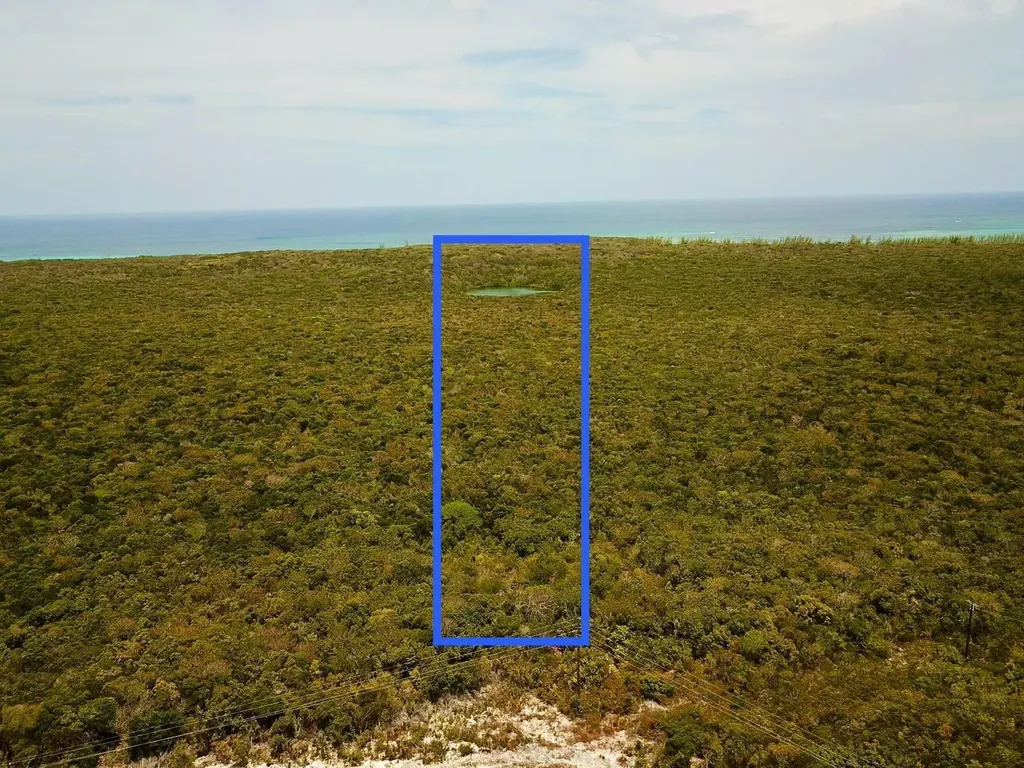 Tarpum Bay Eleuthera BS