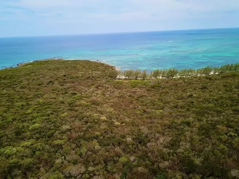 Tarpum Bay Eleuthera BS