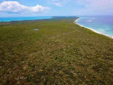 Tarpum Bay Eleuthera BS
