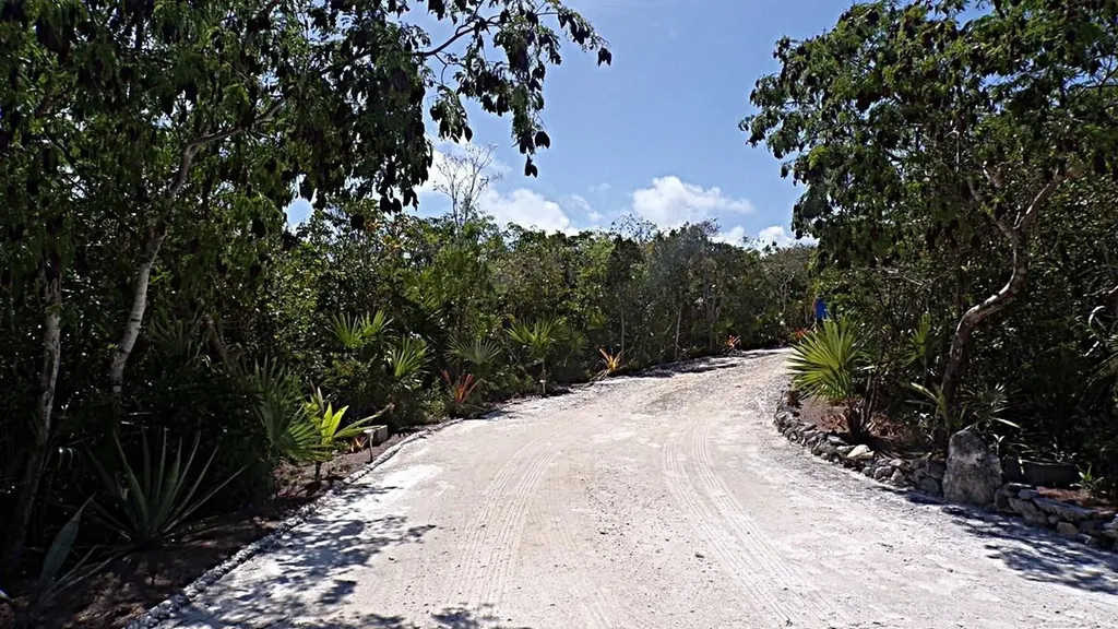 Wemyss Long Island BS