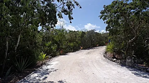 Wemyss Long Island BS