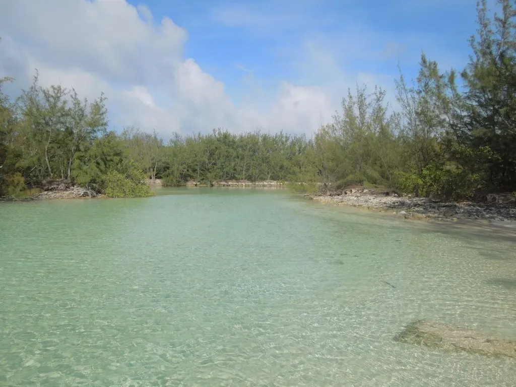 Whale Point Estates Eleuthera BS