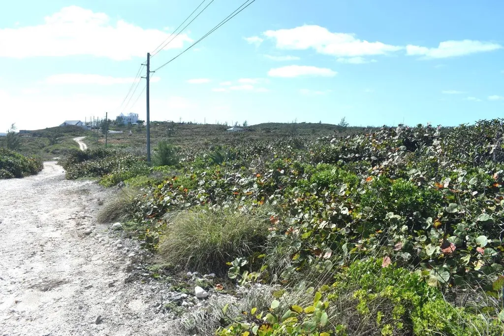 Whale Point Estates Eleuthera BS