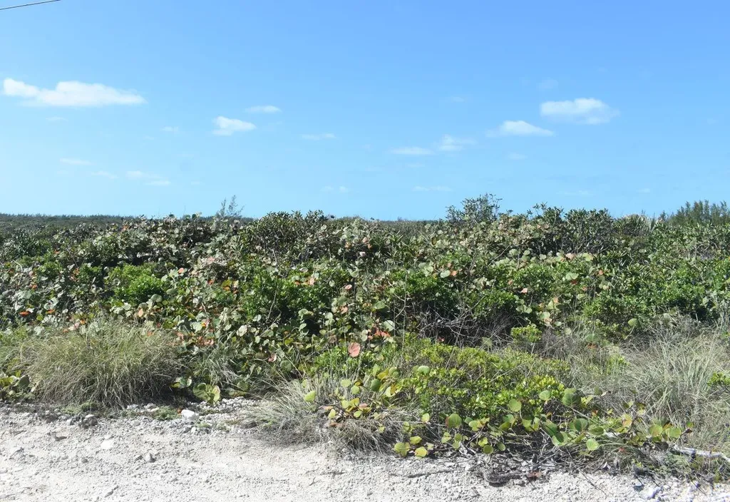 Whale Point Estates Eleuthera BS