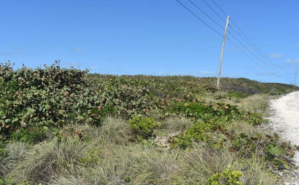 Whale Point Estates Eleuthera BS