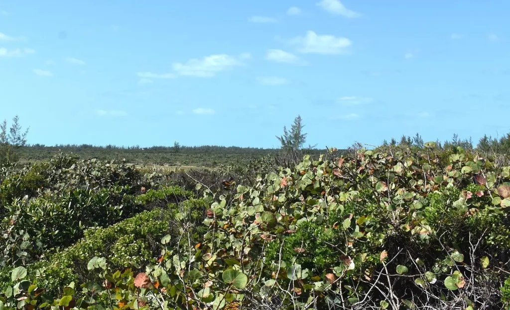 Whale Point Estates Eleuthera BS