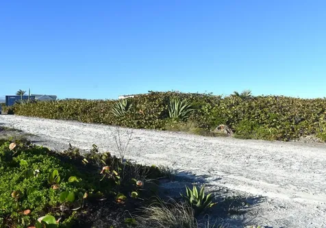 Whale Point Estates Eleuthera BS