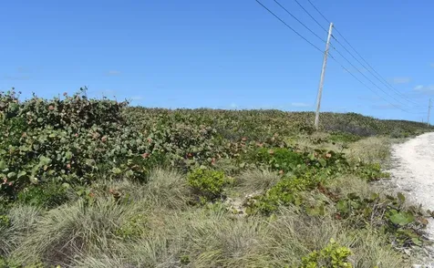 Whale Point Estates Eleuthera BS