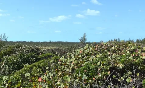 Whale Point Estates Eleuthera BS