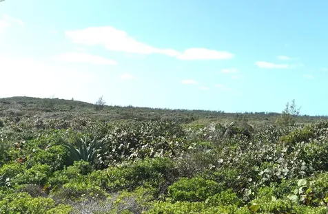 Whale Point Estates Eleuthera BS