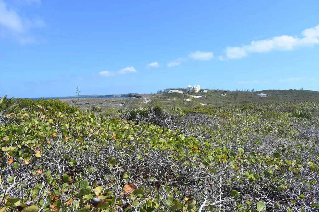 Whale Point Estates Eleuthera BS