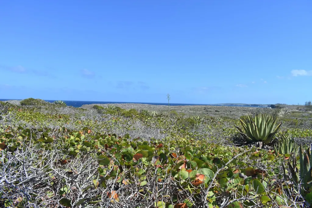 Whale Point Estates Eleuthera BS