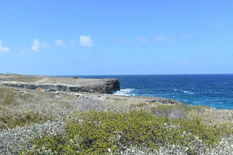 Whale Point Estates Eleuthera BS