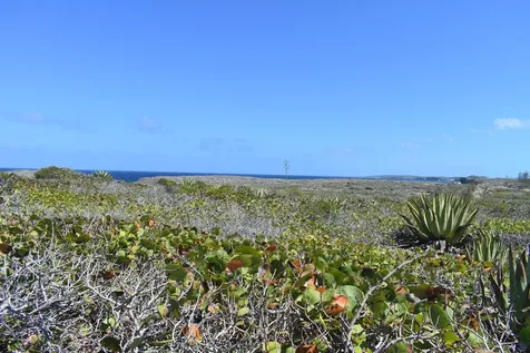 Whale Point Estates Eleuthera BS