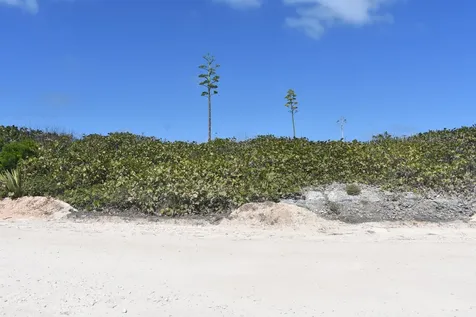 Whale Point Estates Eleuthera BS