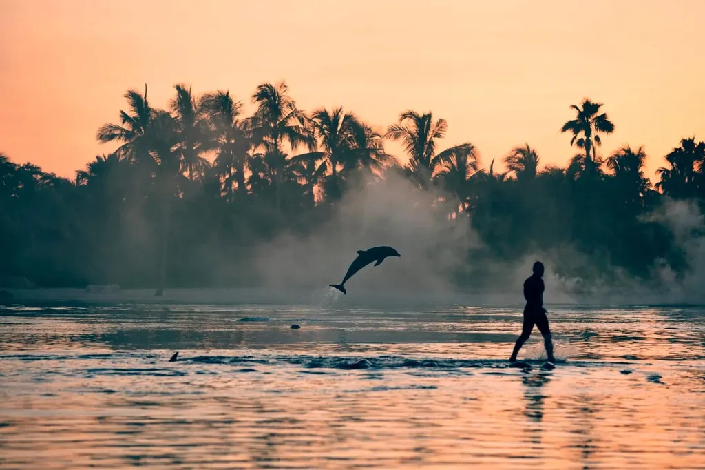 The Reef At Atlantis New Providence Paradise Island BS