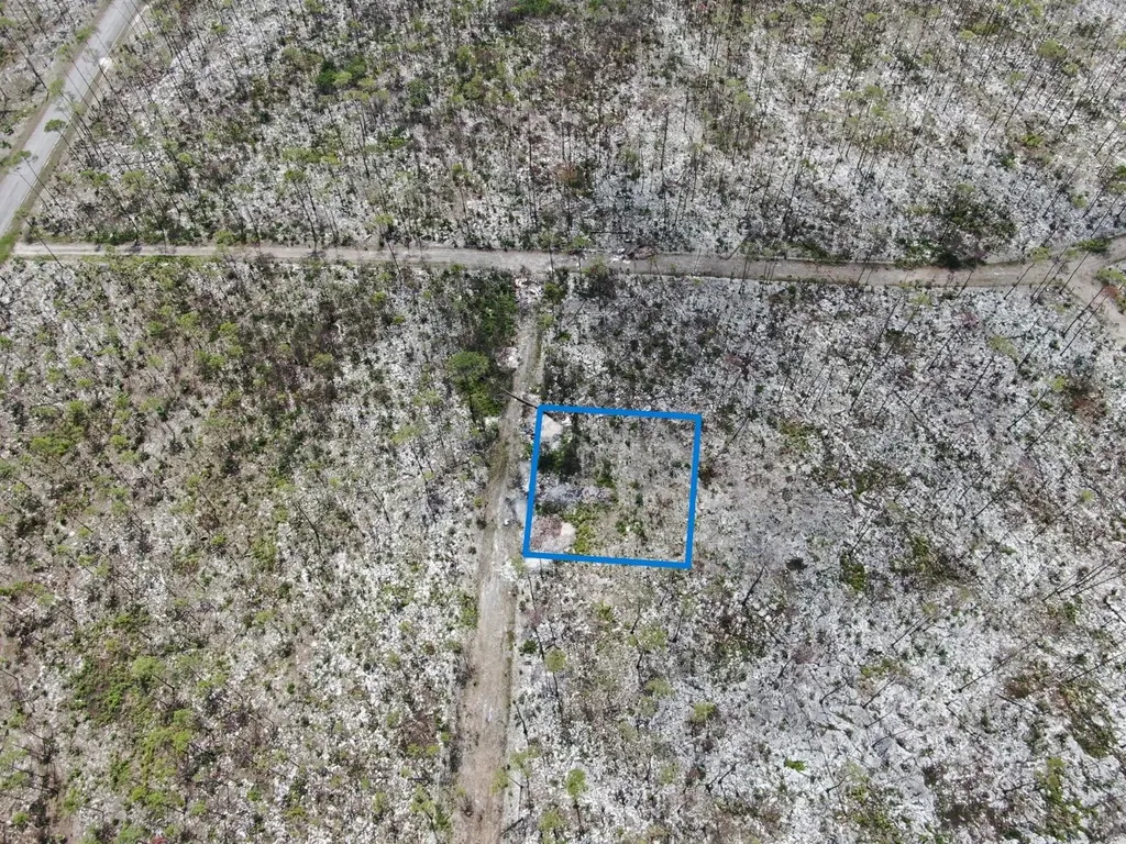 Lissington Road 15 Grand Bahama Freeport BS