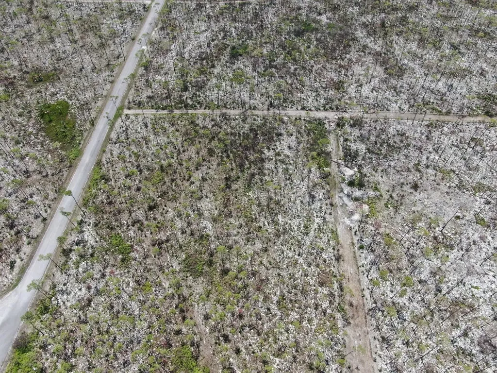 Lissington Road 15 Grand Bahama Freeport BS