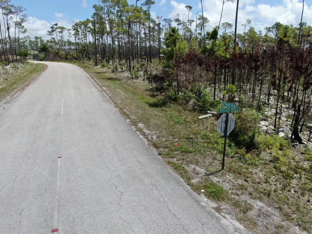 Lissington Road 15 Grand Bahama Freeport BS