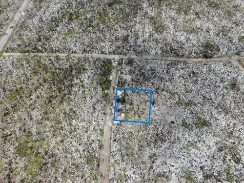 Lissington Road 15 Grand Bahama Freeport BS