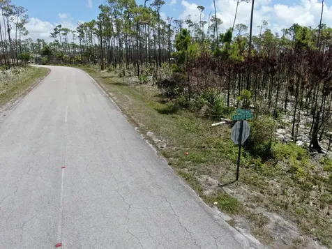 Lissington Road 15 Grand Bahama Freeport BS