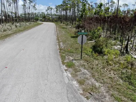 Lissington Road 15 Grand Bahama Freeport BS