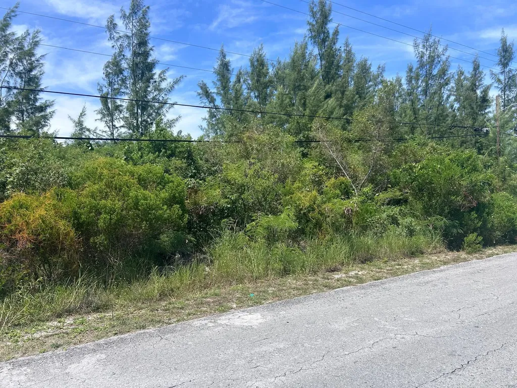 1/2 Acre Multi Family Lot New Providence Paradise Island BS